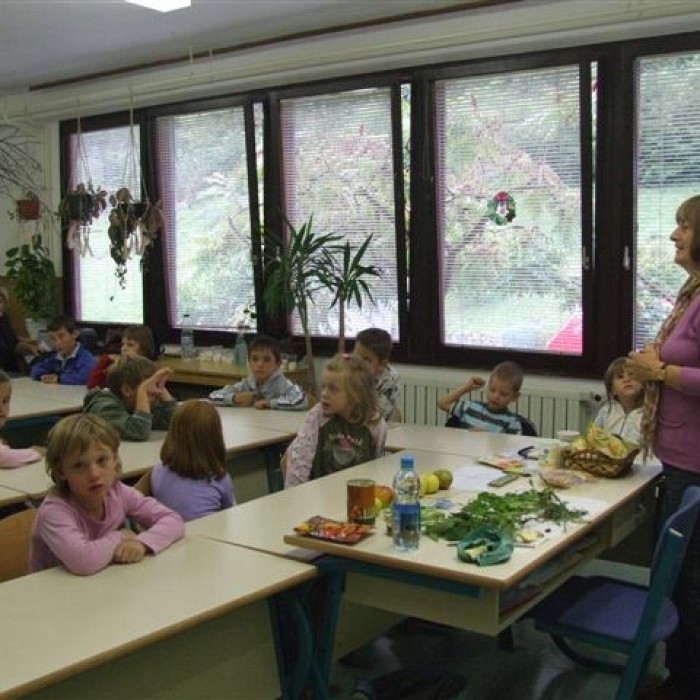Osnovnošolci in ekološko kmetovanje