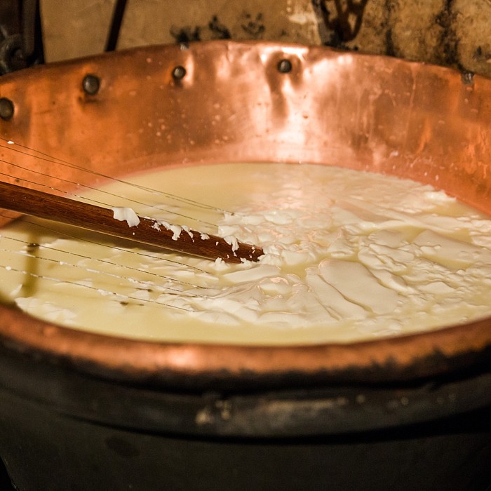 TastyCheeseTOUR