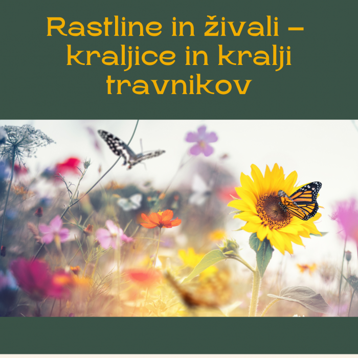 Študijski krožek: Biotska pestrost naših travnikov