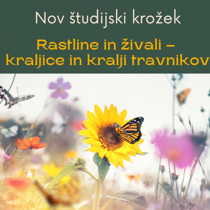 Študijski krožek: Biotska pestrost naših travnikov