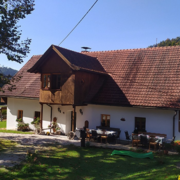 Urejeno talno gretje za piščance pitance doprineslo veliko plusov