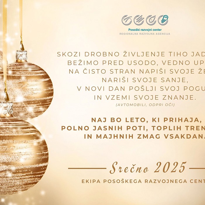 Želimo vam lepe praznike in srečno 2025!