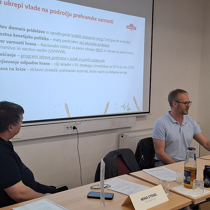 Svet Severno Primorske (Goriške) razvojne regije o razporeditvi preostalih sredstev DRR