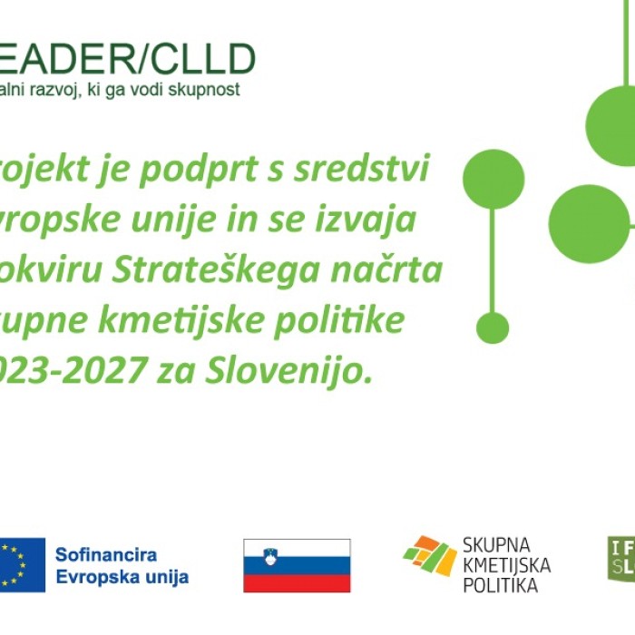 REGIJSKO SREČANJE GORIŠKE REGIJE