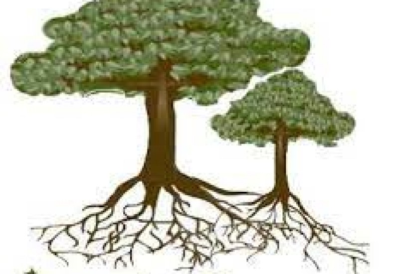 CONGENIAL - Connecting generations