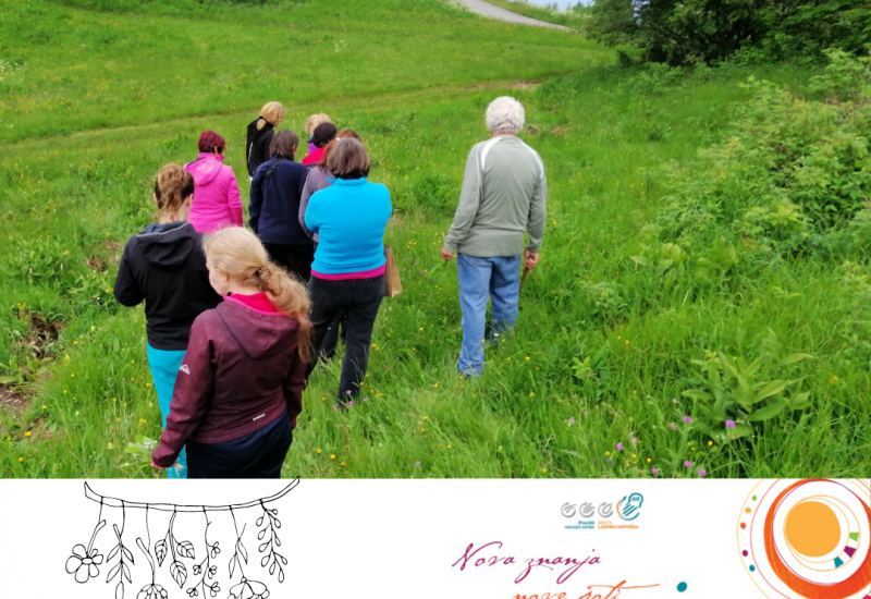 Tečaj zeliščarstva – moja domača lekarna