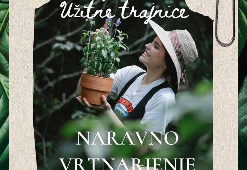 Študijski krožek: Naravno vrtnarjenje – užitne trajnice