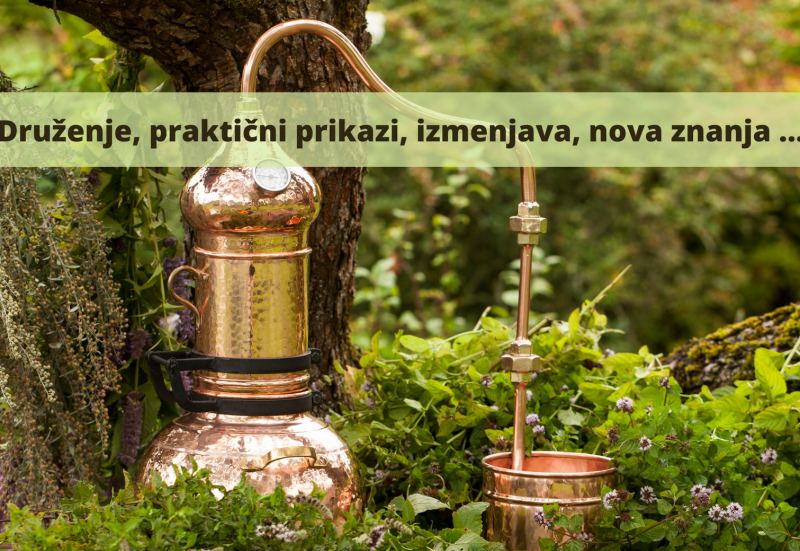 Druženje na skupnostnem vrtu s prikazom destilacije zelišč ...