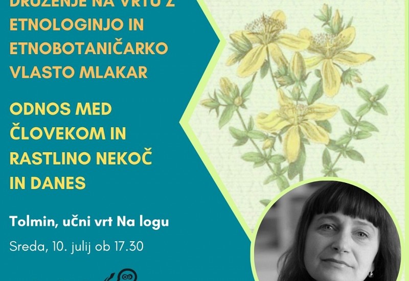 Odnos med človekom in rastlino nekoč in danes