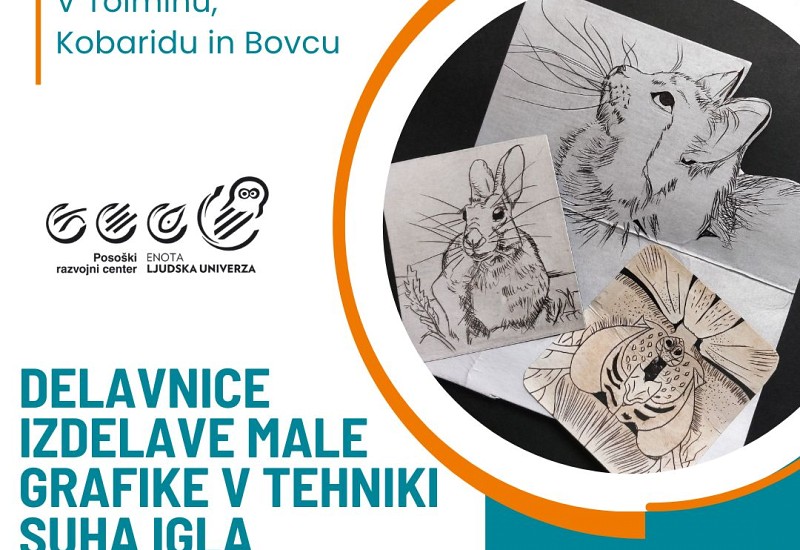 Izdelava male grafike - delavnica